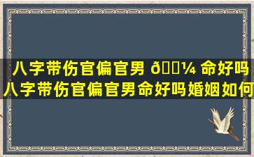 八字带伤官偏官男 🌼 命好吗（八字带伤官偏官男命好吗婚姻如何）